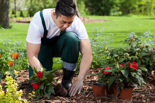 Garden maintenance crew performing seasonal pruning in a suburban plot