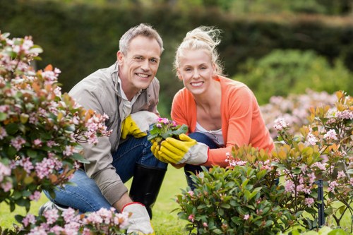 Tree removal process by experts in Shortlands