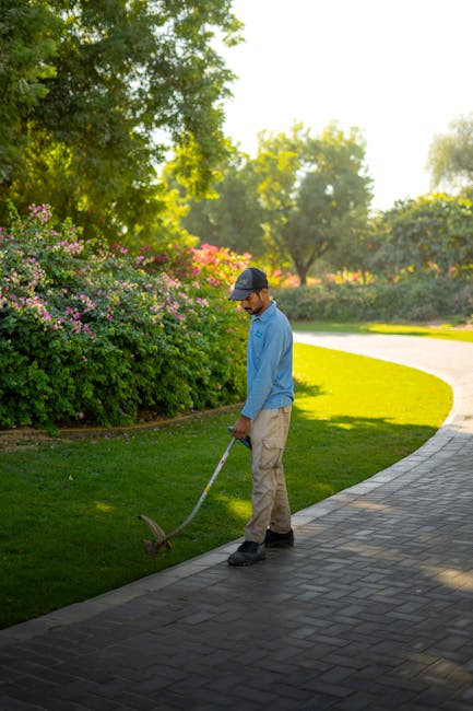 A gardener wearing a dark long-sleeved shirt, a wide-brimmed hat, and safety glasses is trimming a dense, green hedge with long-handled pruning shears. The hedge, composed of small, glossy leaves and