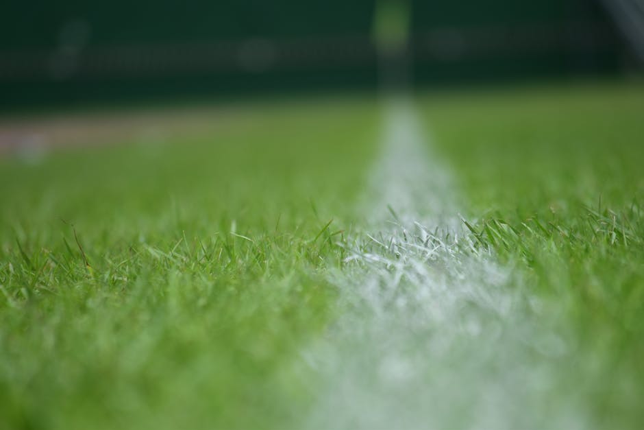 A close-up view of a well-maintained lawn during daytime, showcasing lush, vibrant green grass with a smooth, even surface. A white line marking is visible across the grass, indicating recent landscap